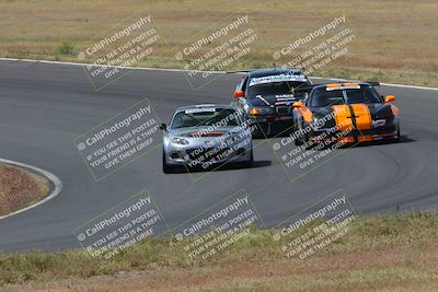 media/May-04-2024-Lucky Dog Racing (Sat) [[d39539b3f3]]/Race Pics/1015am (Turn 2)/